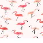 Deiard'i Clothing⋆