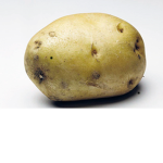 potato sqad gaga