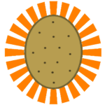 potato union