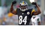 SteelerFans 2017