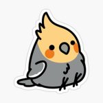 They are Soo cute bird