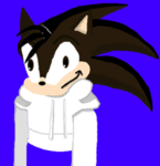 The Hedgehog crew