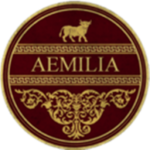 Amelia Extended