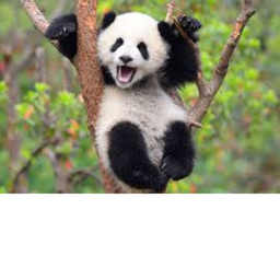 what i think is awesome