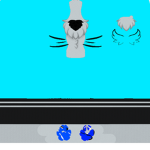 sadekire fisjk