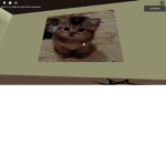 cat kingdom best for you
