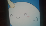 Narwhal fanclub!