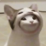 Only popcat group
