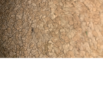 Cookie fans123
