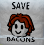 SAVE THE BACON HAIRS!!!!!!