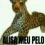 Alisa Meu Pelo 2.0