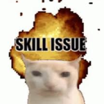SkiII lssue