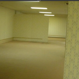 the backrooms