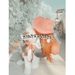 ʚɞ bellas closet! ʚɞ