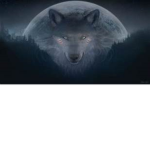 The Wolf Pack Howl