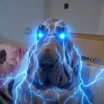 solidoisverycool