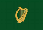 Irish Voluntary Forces