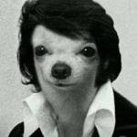 Enemiguitos