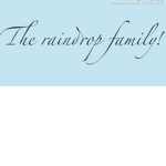 Raindropfamily