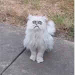 あかさたなはまやらわ