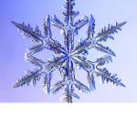 The awesome snowflakes