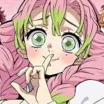 the anime clothes and more