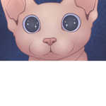 Cat of noobs group
