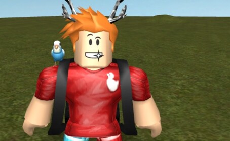 Orange lightning’s hang out.