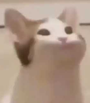 We hrlppppp