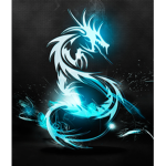 DragonXnation
