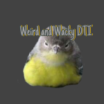 Weird and Wacky DTI