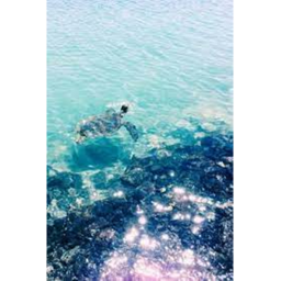 -summer vibes-
