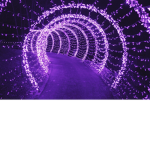 Relicds