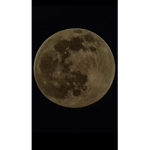 themoondog