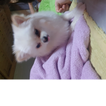 요기들어오면 금손됨