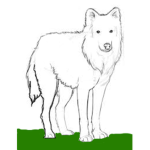 Arctic Wolf Shirts