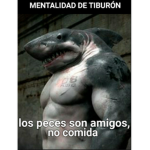 TEAM TIBURONES