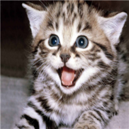 cute!!! Roblox decal