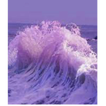 •*pûrple•*power•