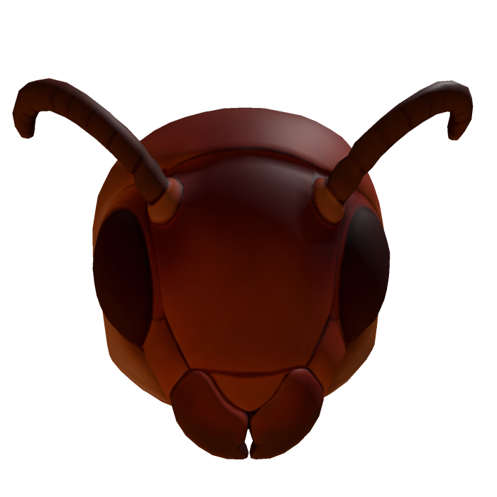 Cockroach Head