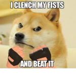 The Great Doge Lair
