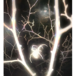 ethereal ugc