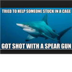 shark savers