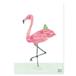 Flamingo and Frog