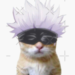 Struik Studios ヴィ