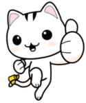 빠방이의 그룹