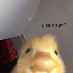 Duck World :D