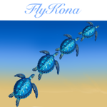 FlyKona