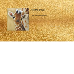 Giraffe Clothes