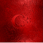 Kings İs Turkey